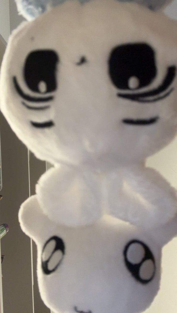 Hope you have a mmz day🐠🐶