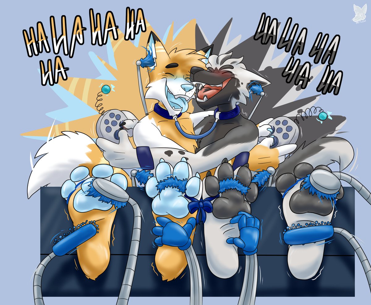 Mister_Fuchs tweet media