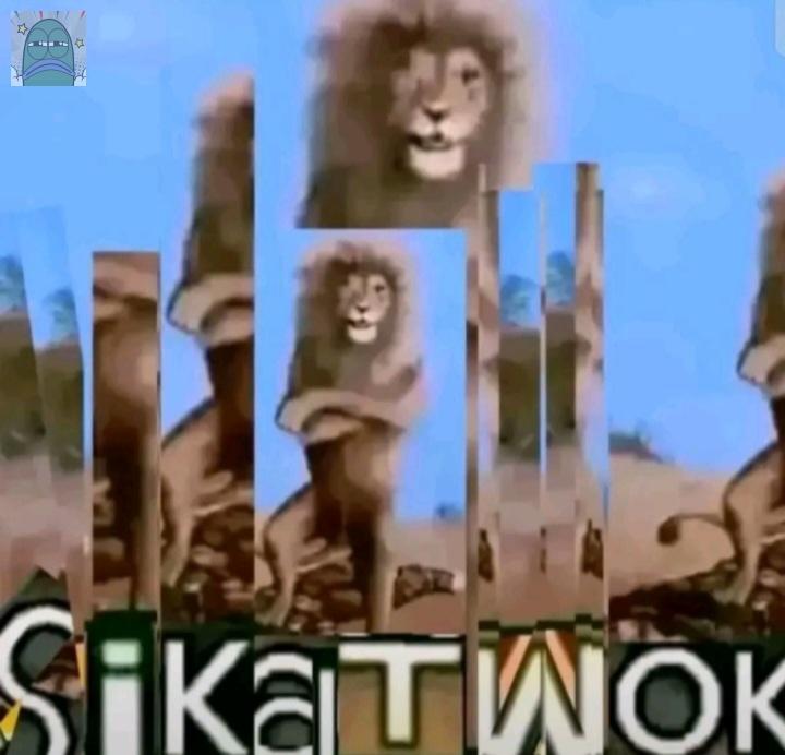 usagi__0k tweet media