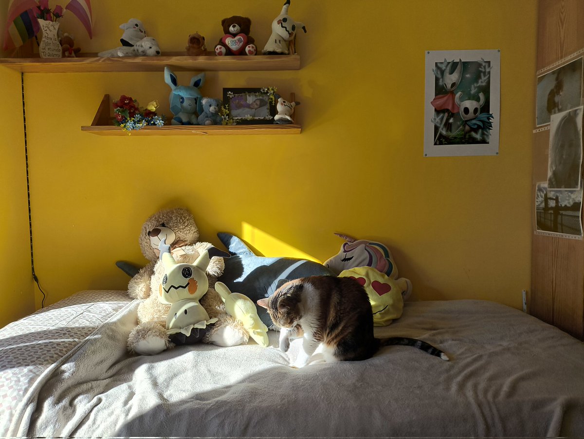 Hello I am a 23 year old transgsnder and this is my trasgnender room (2nd blahaj is hidden)