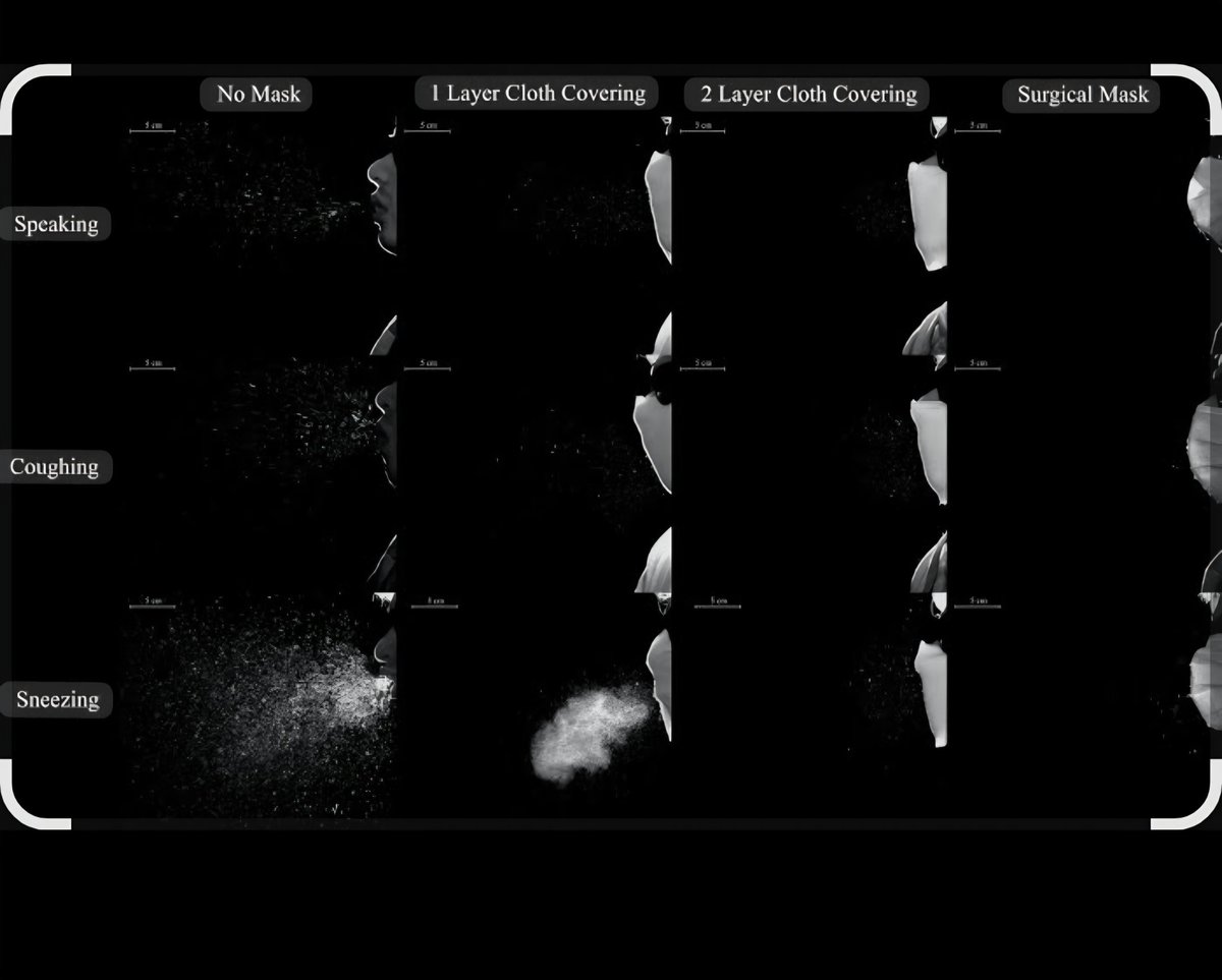 glosengrugberfan tweet media