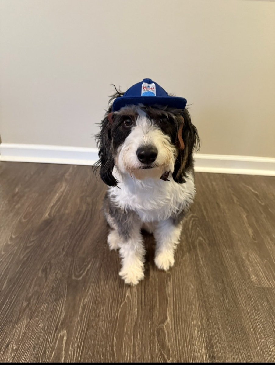 kwool53's tweet photo. Harley
#POOCHPICS
@UCFProduction https://t.co/Jmm6kGnb78