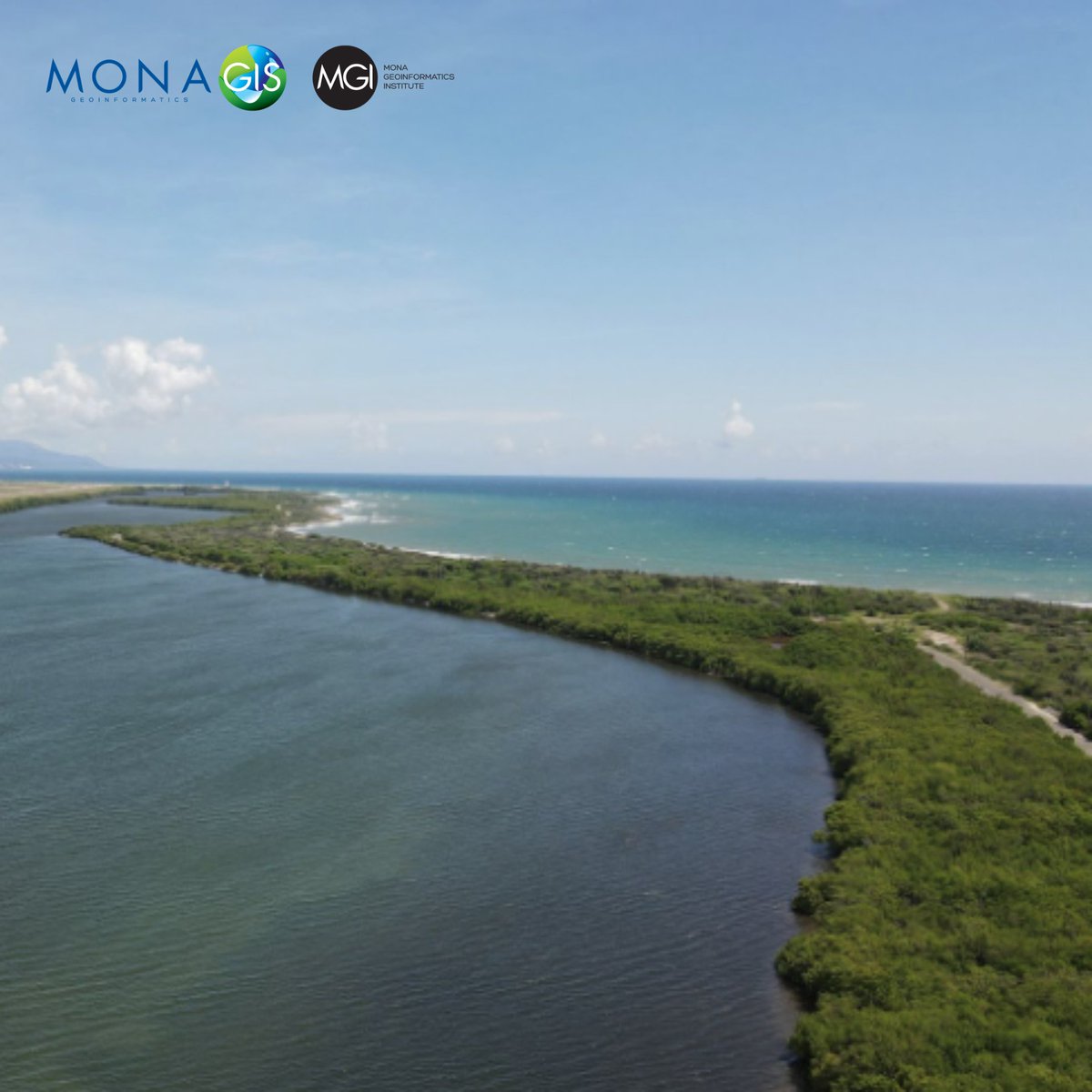 MGI - MonaGIS tweet media