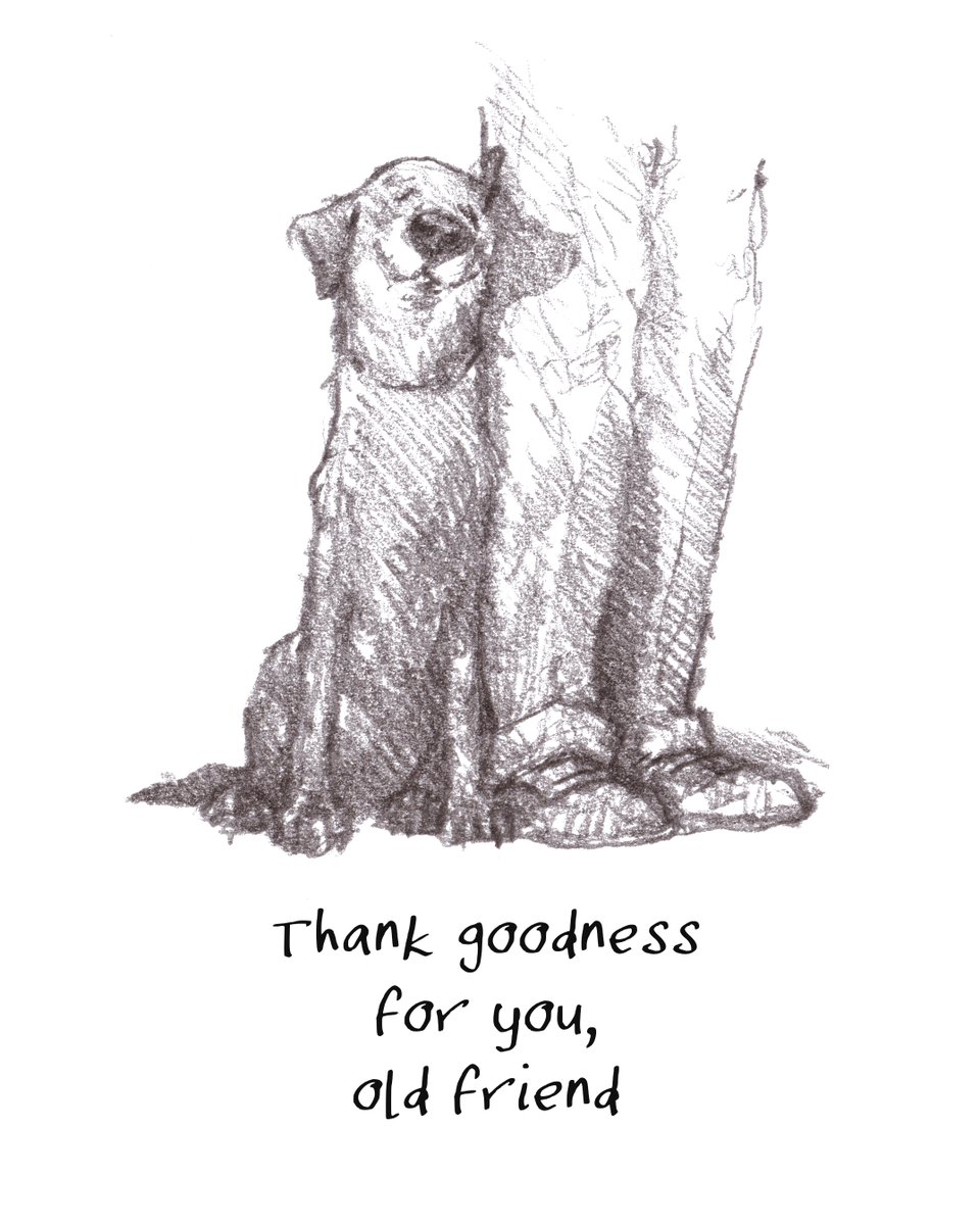 I hope that you are having a really lovely day so far, lovely people and lovely dogs.
Hooray for old friends. 
I'm wishing you the very best. 
#hoorayfordogs #labrador