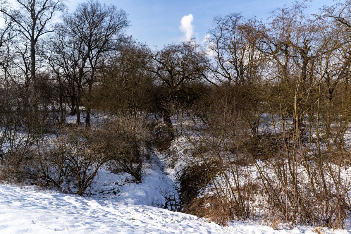 krakow_pl's tweet photo. #Krakow #Rybitwy #przepompownia #retencja #OgrodyDeszczowe #bezpieczenstwo #Golikowka
🌿💧 Rybitwy bezpieczniejsze!
Miasto przygotowuje rozwiązania, które będą zapobiegać zalaniom tego terenu!
Rozwiązania:
🌱 ogrody deszczowe – naturalna „gąbka” dla wody, która powstanie wzdłuż rowu Golikówki, od ul. Granicznej do ul. Kormoranów. Zatrzyma wodę zanim trafi do kanalizacji,
⚙️ nowoczesna przepompownia NWS „Rybitwy” – powstanie na działce obok Wisły,
💧zbiornik retencyjny.
Cały system stworzy hybrydową ochronę przeciwpowodziową dla Rybitw.
📷Bogusław Świerzowski / https://t.co/tZgIasj5cI