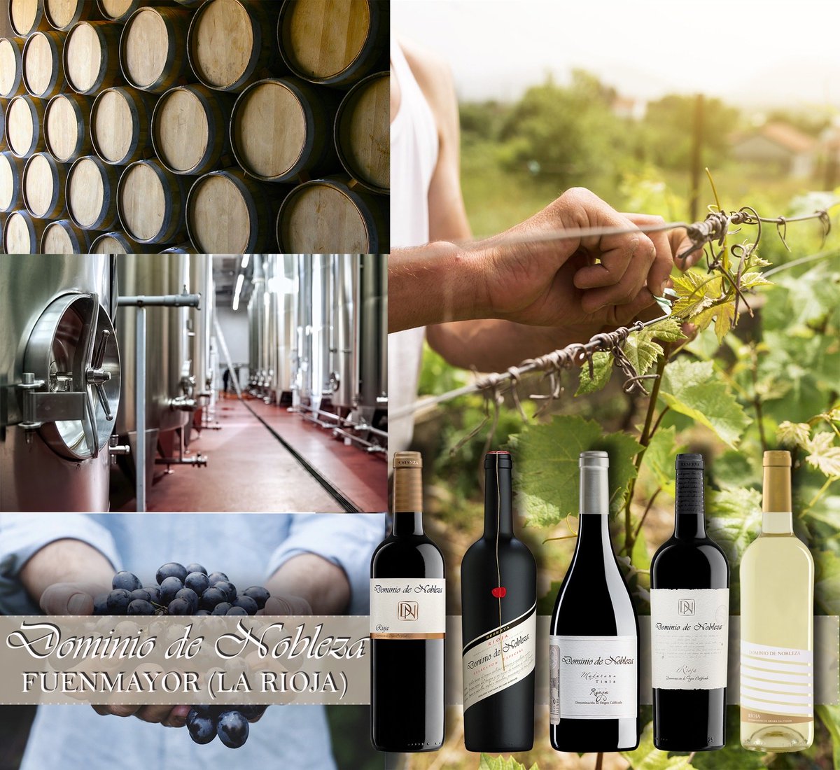 La perfecta conjunción de los elementos #DominioDeNobleza
dominiodenobleza.com
#Bodega #Fuenmayor #LaRioja