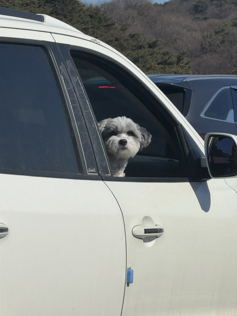 아이견택