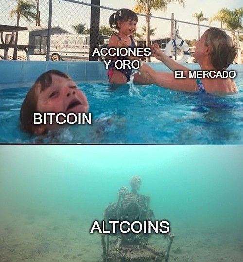 BingX Latino tweet media