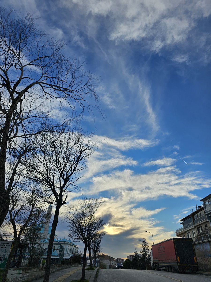 İyi akşamlar iyiler 🐞🍀🙋‍♀️