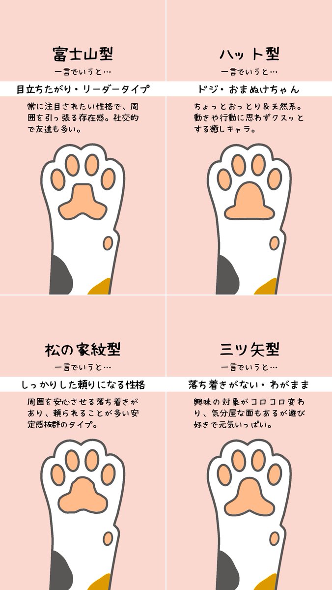 にゃんゼミ with 保護猫 ❤️ tweet media