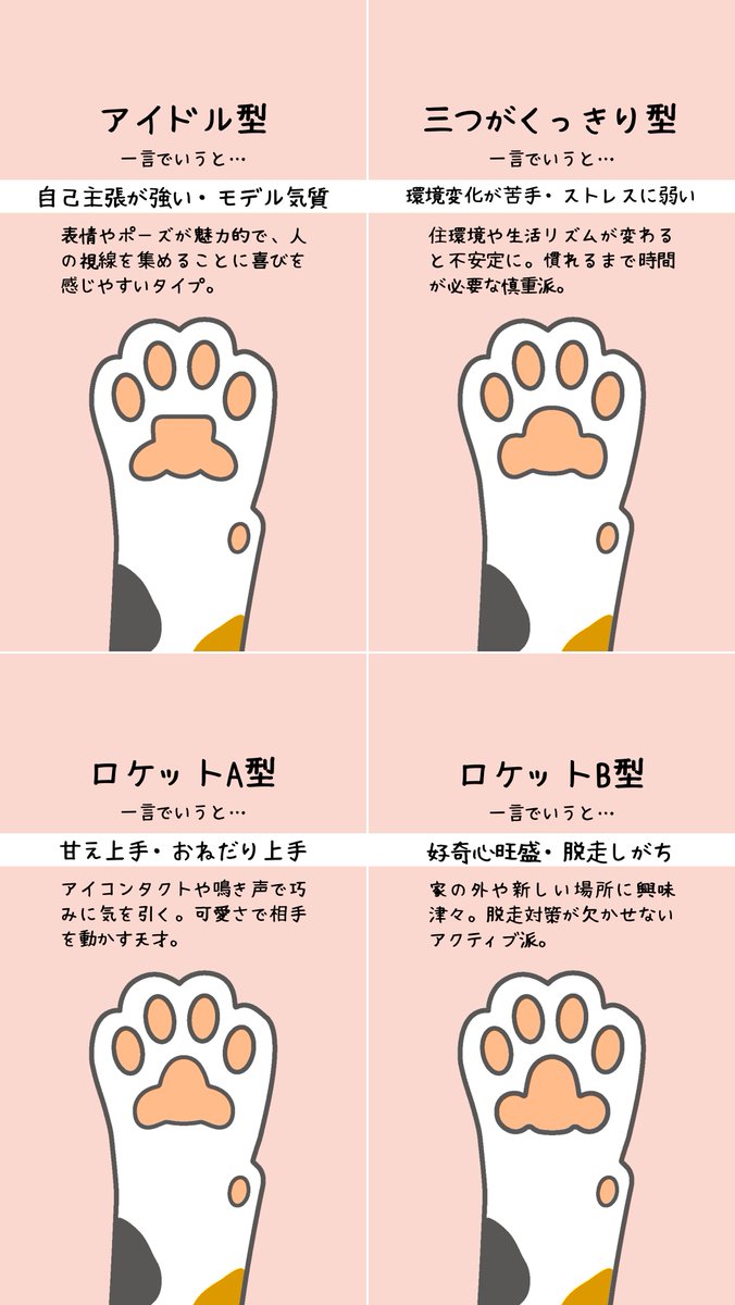 にゃんゼミ with 保護猫 ❤️ tweet media