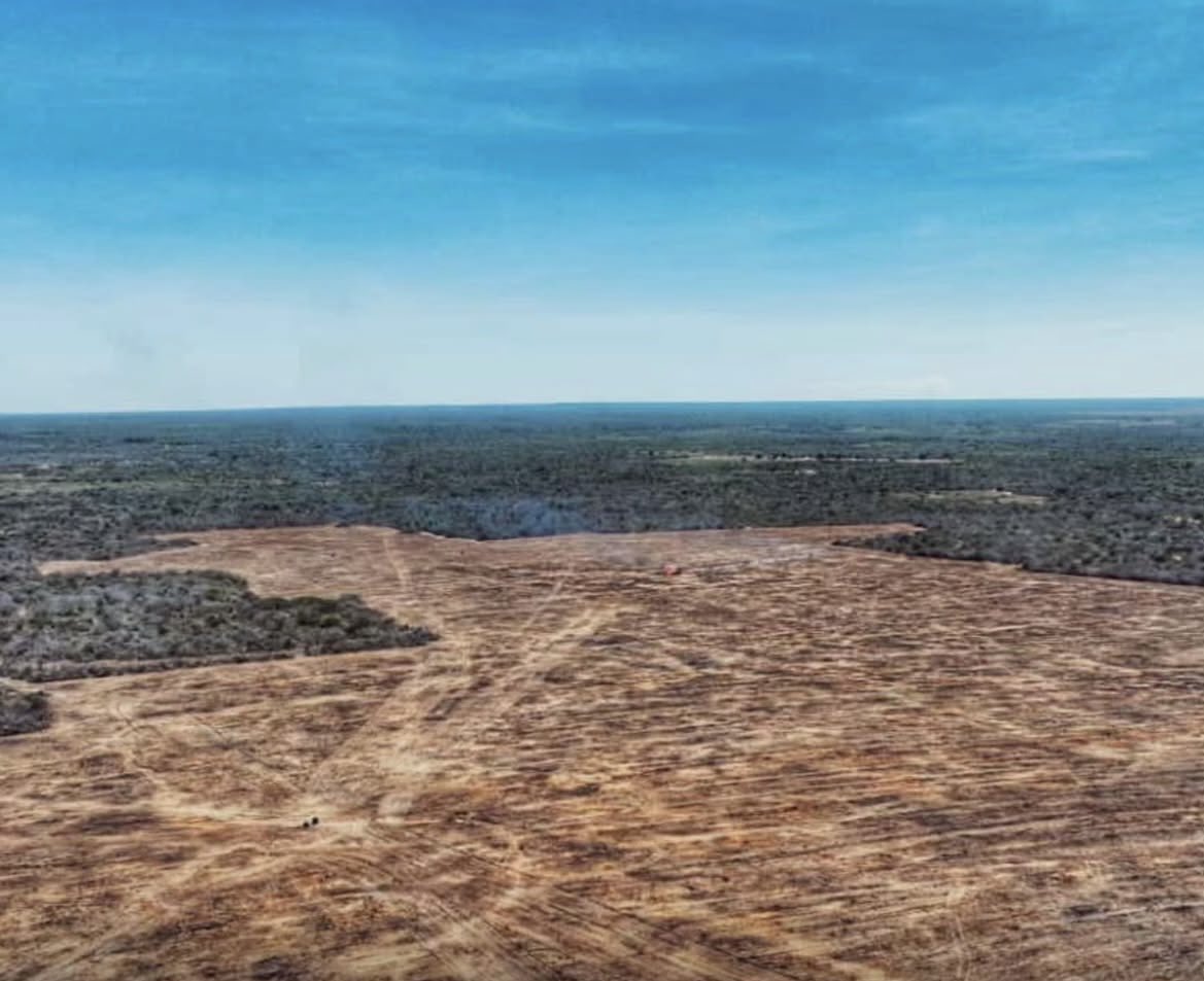 🛑Chapada do Araripe prestes a viver uma CATÁSTROFE sem precedentes. Rede de mentiras e ilegalidades entre mandantes do agro e o Governo Estadual ameaça devastar 100 MIL hectares (67 Parques do Cocó) de floresta. O Cariri e todo o Ceará precisam impedir essa IMORALIDADE SUICIDA.