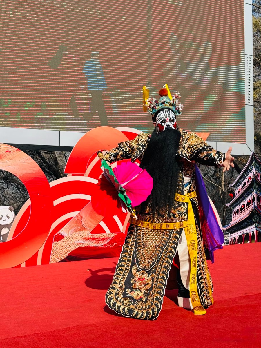 夏买旦·Shamardan tweet media