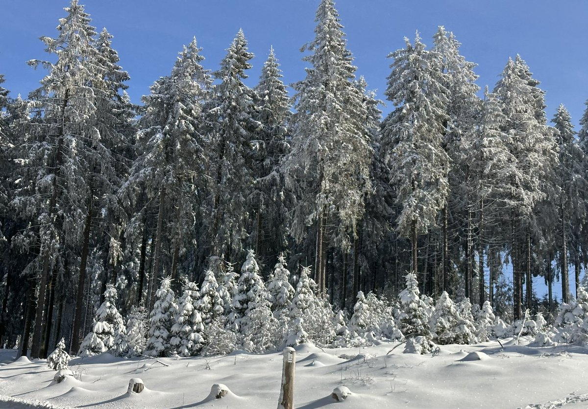marion26299073's tweet photo. My beautiful winter world close to #Frankfurt #Feldberg happy Friday ❄️☀️❄️☀️❄️ https://t.co/UeHzVQzPSs