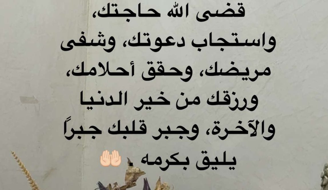 🦋أُمنية تبقى حلماً🦋 tweet media