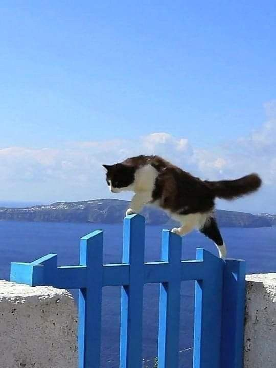 Anitamaría tweet media