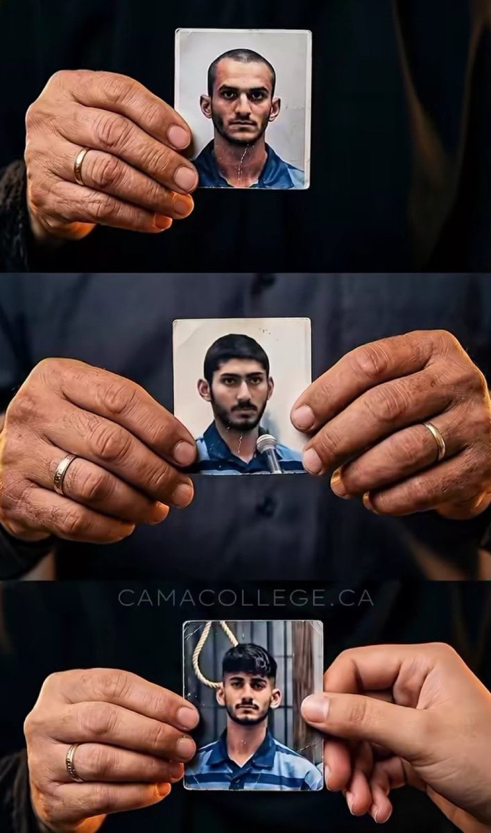 Mosi🇮🇷 tweet media