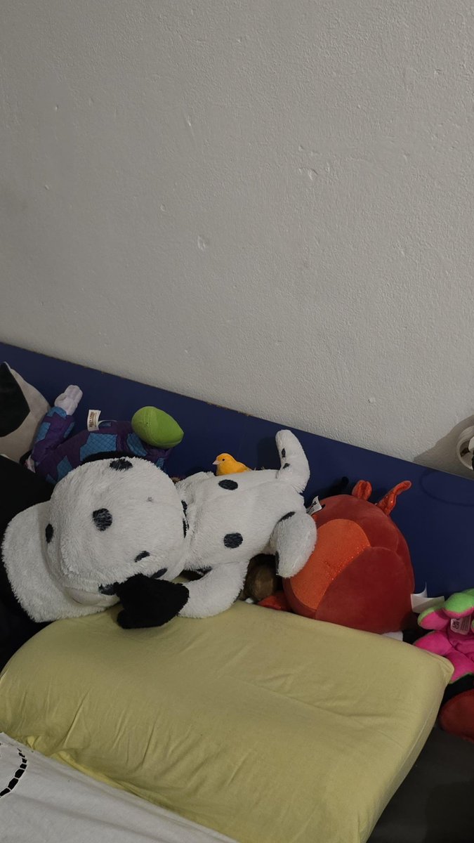 toxelqq's tweet photo. @Garrett_Watts Two canaries that use to be my grandmas,  Lemon (2) and Mango (3) and my budgie who is 12 this year 💕✨️ https://t.co/p6OXdPBi5a