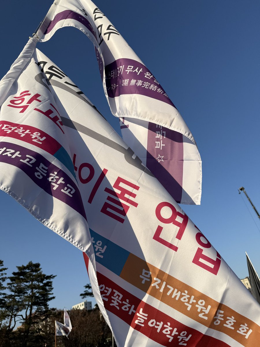 さらに「実際には存在しないと思われる団体の旗」を作ることもお勧めします。
韓国の場合、こうした民衆デモの背後にいる勢力がいますが、そうした勢力に対して私たちには背後がなく、自由意志で参加することを示す装置として旗を作って参加していました。