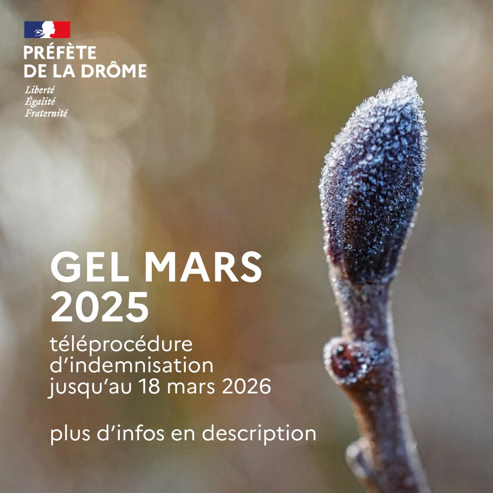 Préfète de la Drôme 🇫🇷🇪🇺 tweet media