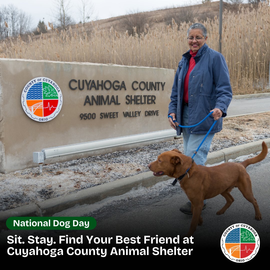 CuyahogaCounty's tweet image. Happy #NationalDogDay! Have a pup? Post a picture below. Need a pup? Head over to @cuyahogadogs animalshelter.cuyahogacounty.gov 

#WeAreCuyahoga