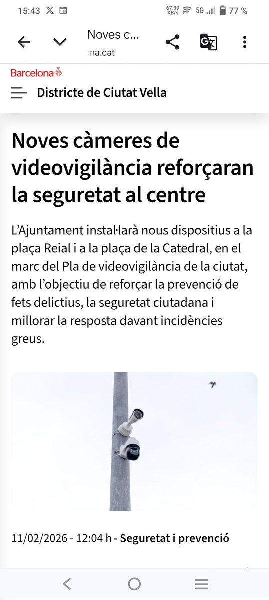 XARXA VEÏNAL GÒTIC tweet media