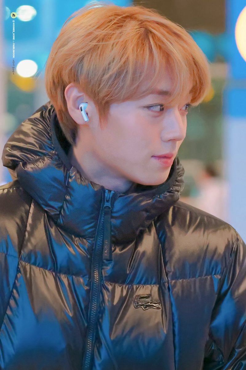 후니네집 tweet media