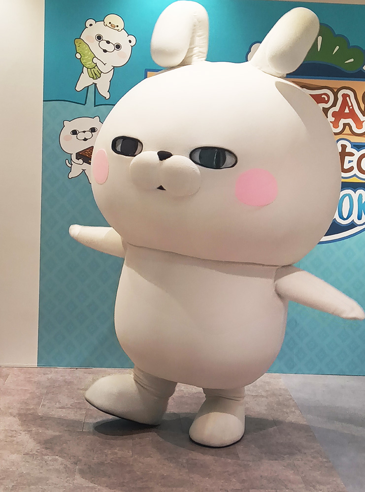 うさぎさんに会えます🐰 この後14時、15時にはうさぎさんが登場❣ 静岡
