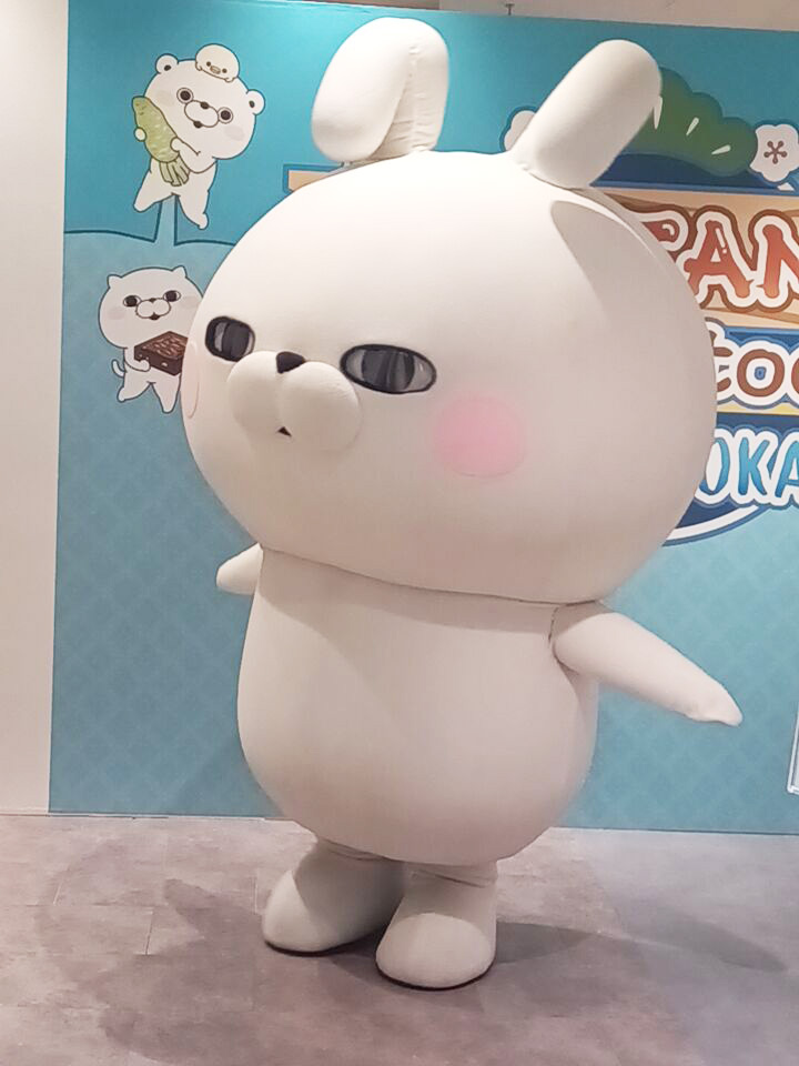 うさぎさんに会えます🐰 この後14時、15時にはうさぎさんが登場❣ 静岡
