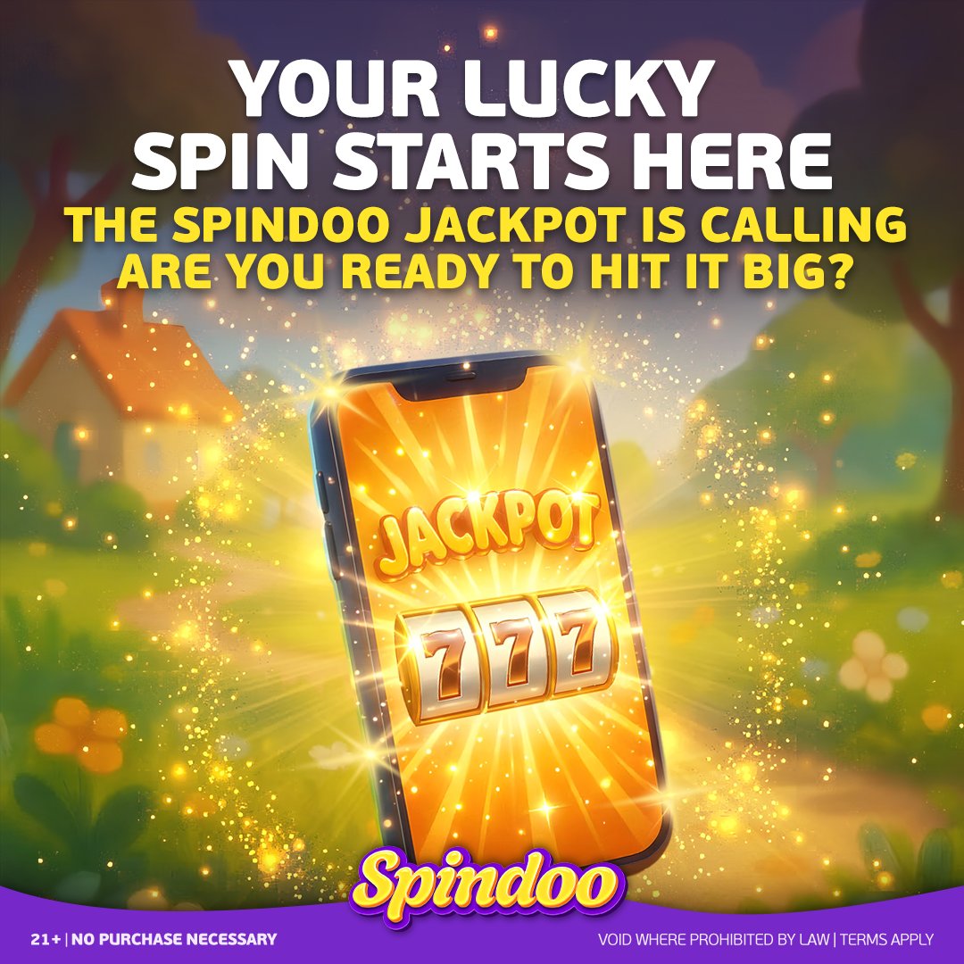 Social Spindoo tweet media