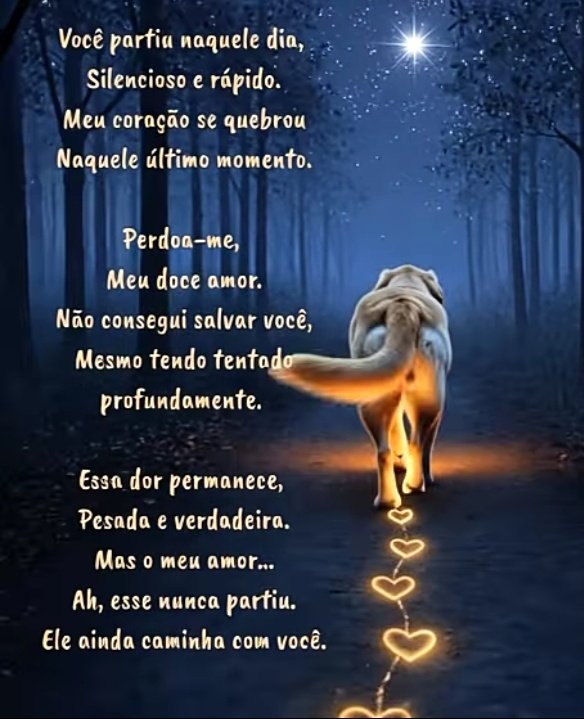 lola19803789's tweet image. Justiça não é vingança. Justiça é mostrar que a vida importa. Que empatia não é opcional. Que crueldade não pode ser normalizada.

Que o nome Orelha seja lembrado não como vítima, mas como alerta. ✨🐶 Que cada compartilhamento seja um pedido de mudança real. E que o Brasil que