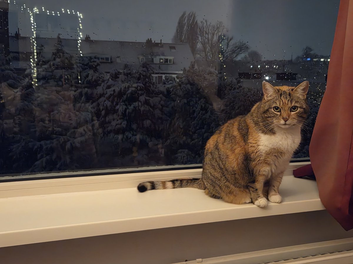 LadyoftheBoard1's tweet photo. @Jootjedekat @Charlie_met_i_e Dit is er eentje waarvan Kathleen Ivy zegt: Meedoen is belangrijker dan winnen!
#simontroffee en #wintercatolympics @Charlie_met_i_e https://t.co/Jz7aQO21Mj