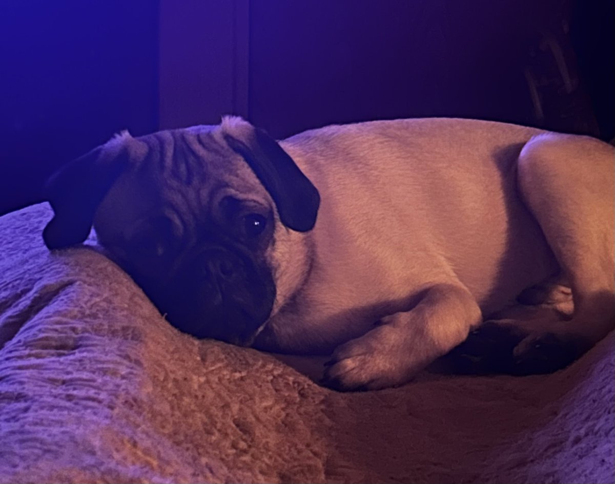 ᕼᗴᗩTᕼᗴᖇ ᖇᗩᗴ tweet media