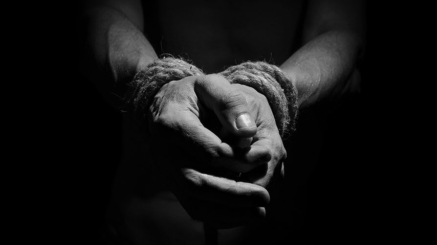 forrest nelson tweet media