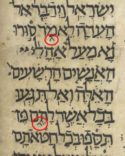 Kim Phillips tweet media