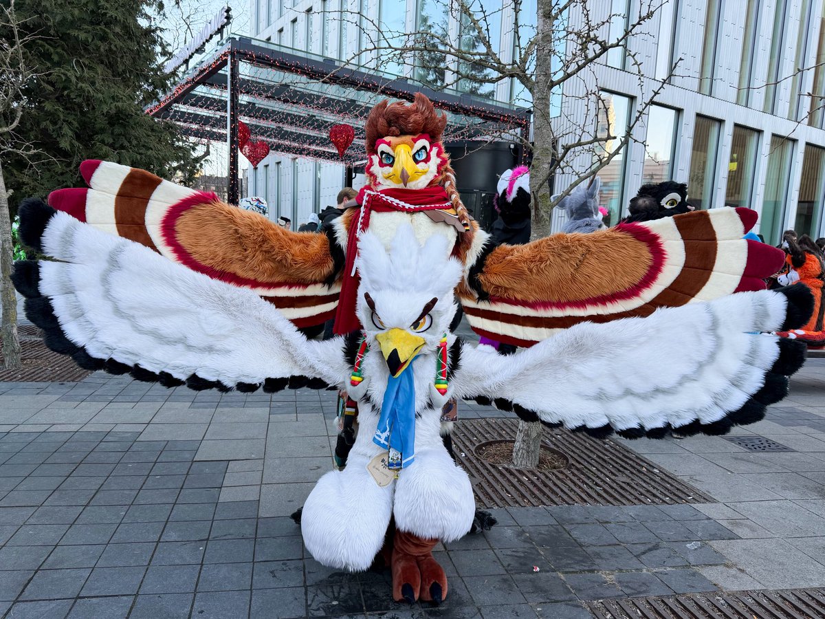 Champion Zane🪽🔜 TFF, FURG, FWA tweet media