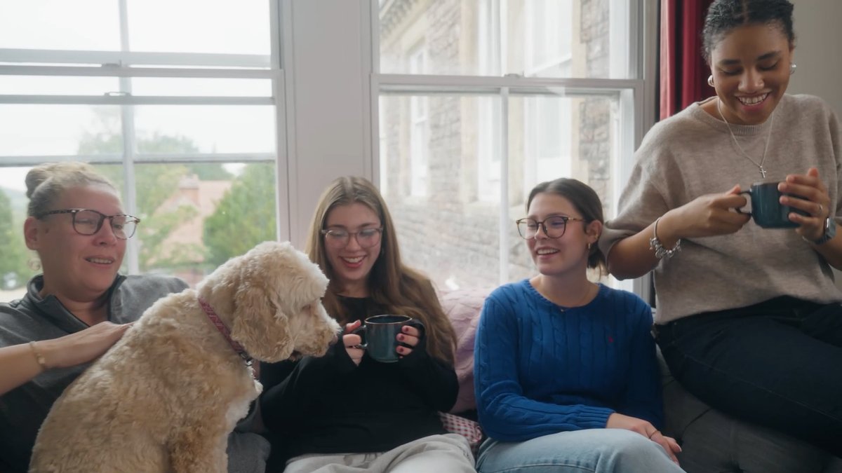 The BSA Guide tweet media