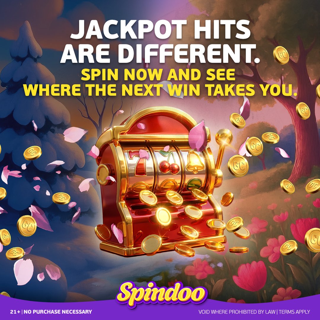 Social Spindoo tweet media