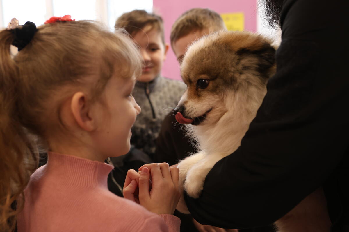 Save the Children in Ukraine tweet media