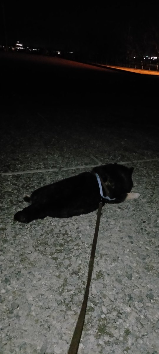 今日は真っ暗な駐車場で寝る日だ