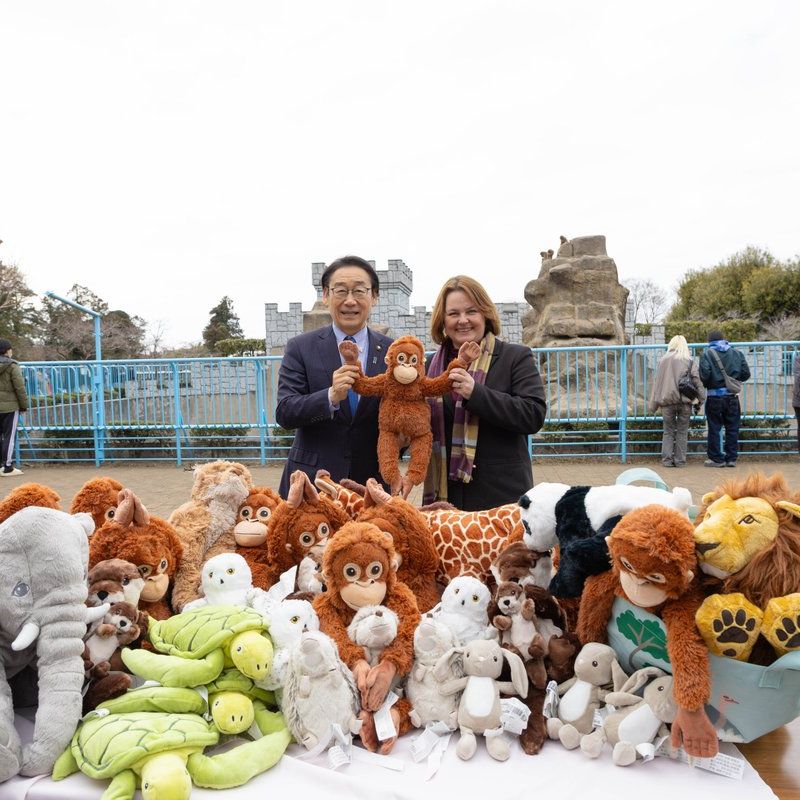 Global UPDATES tweet media