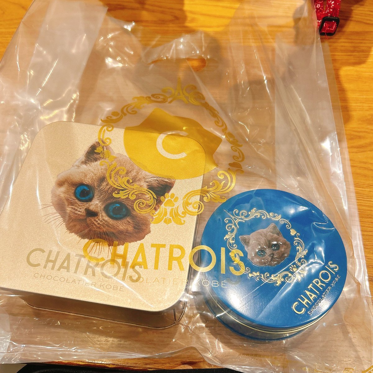 trktkh's tweet photo. 神戸初日、メリケンパーク〜ハーバーランド
気になってた猫菓子のお店やっと行けた😍

#CHATROIS #シャトロワ https://t.co/jWYo5PTpgd