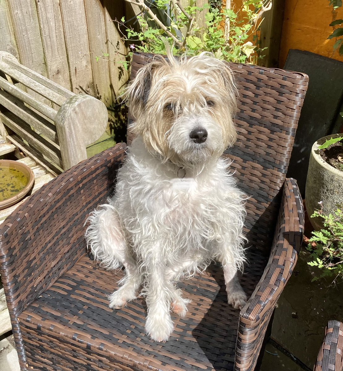 James Dreyfus tweet media