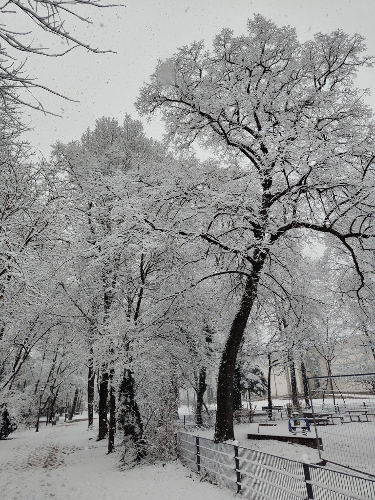 TU_Muenchen's tweet image. #HappyFriday from our snowy #campus! ❄️ Wishing everyone a warm and relaxing start to the weekend!

#wintervibes 

📷A. Eckert, F. Schulz