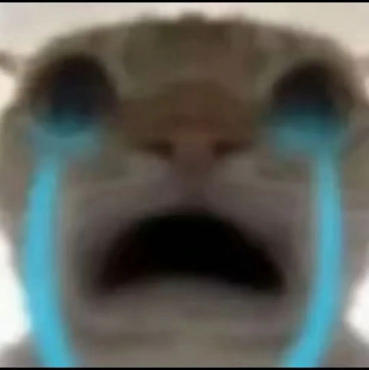 aynı hafta içinde hem yakın arkadaştan hem crushdan azar yedik