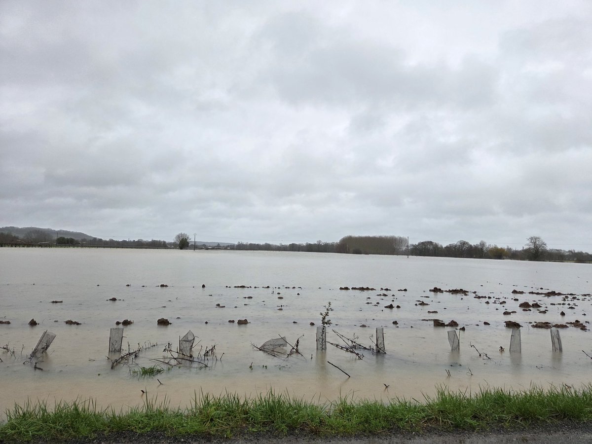 David Amblevert tweet media