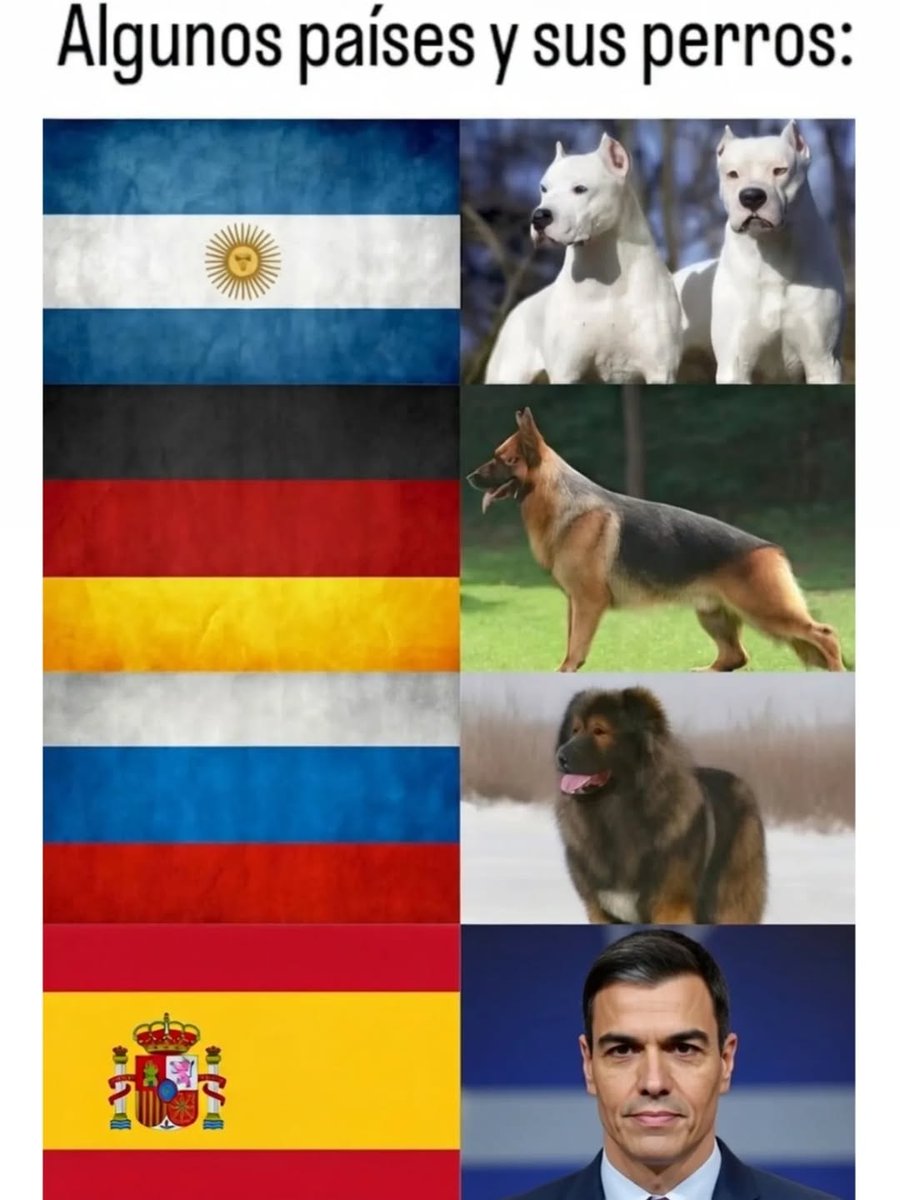 Perdón por esta imagen,no podemos comparar al impresentable con ningún animal ,menos aún con los perros,estos los sentimientos que tienen por quien les cuida les lleva de pena a morir .Os pido mil perdones.