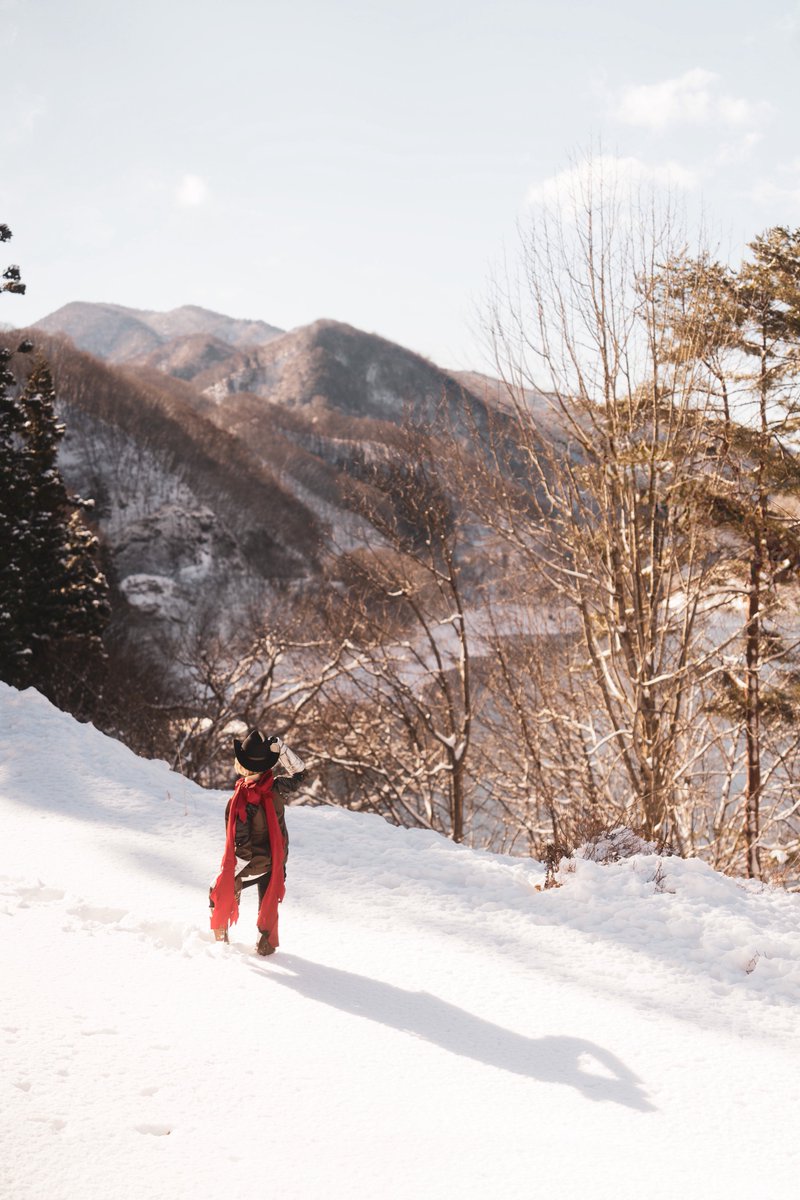 へそこ 🌷🌸 tweet media