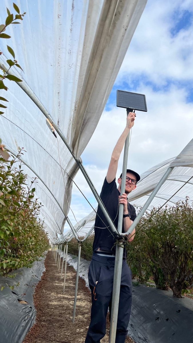 AgriSound tweet media