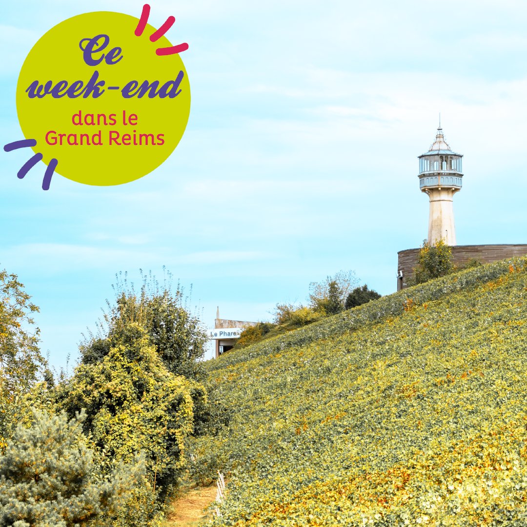 Grand Reims tweet media